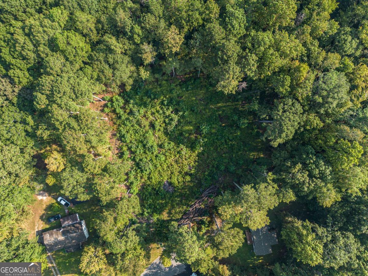 0 Maple Trail Sharpsburg, GA 30277 - Photo 3 of 14