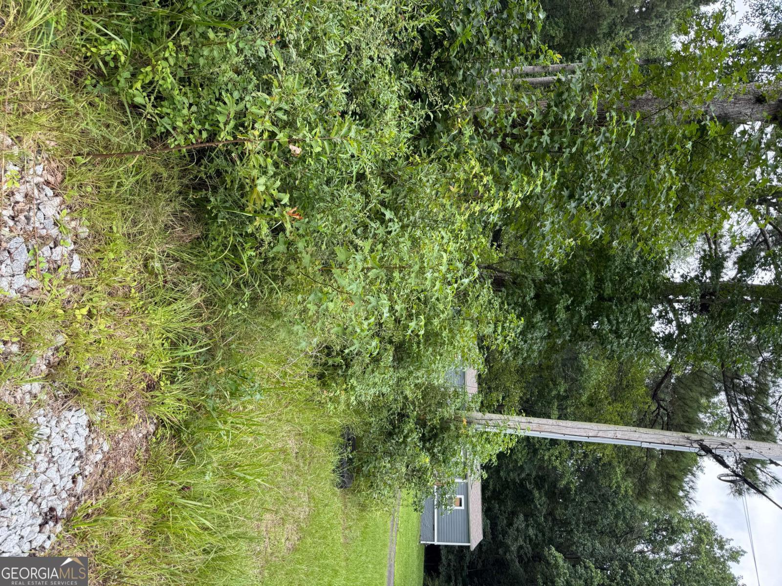 0 Maple Trail Sharpsburg, GA 30277 - Photo 6 of 14