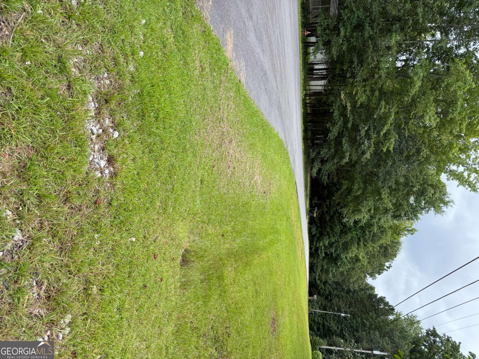 0 Maple Trail Sharpsburg, GA 30277 - Photo 7 of 14