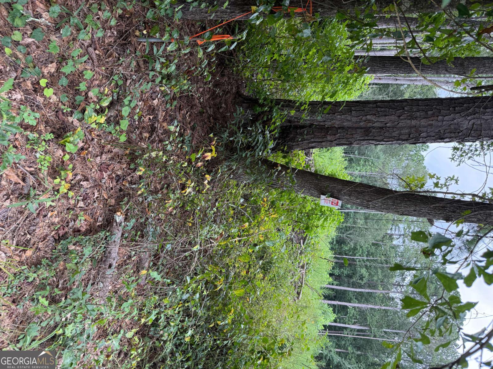 0 Maple Trail Sharpsburg, GA 30277 - Photo 8 of 14