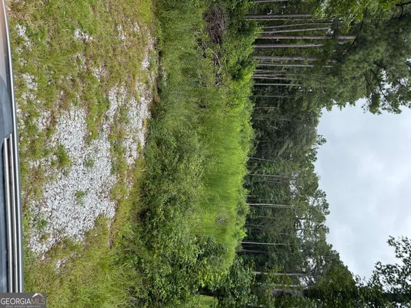 a view of a lush green forest with lots of trees