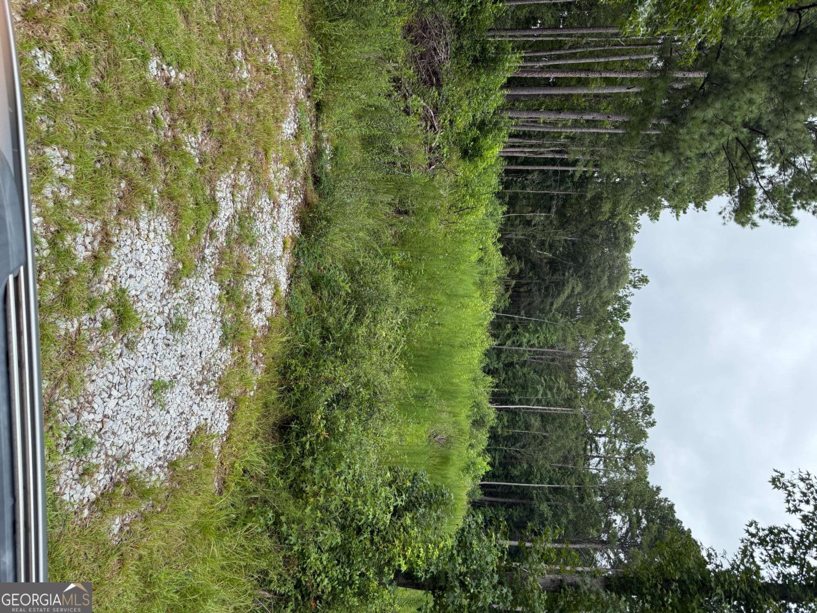 0 Maple Trail Sharpsburg, GA 30277 - Photo 10 of 14