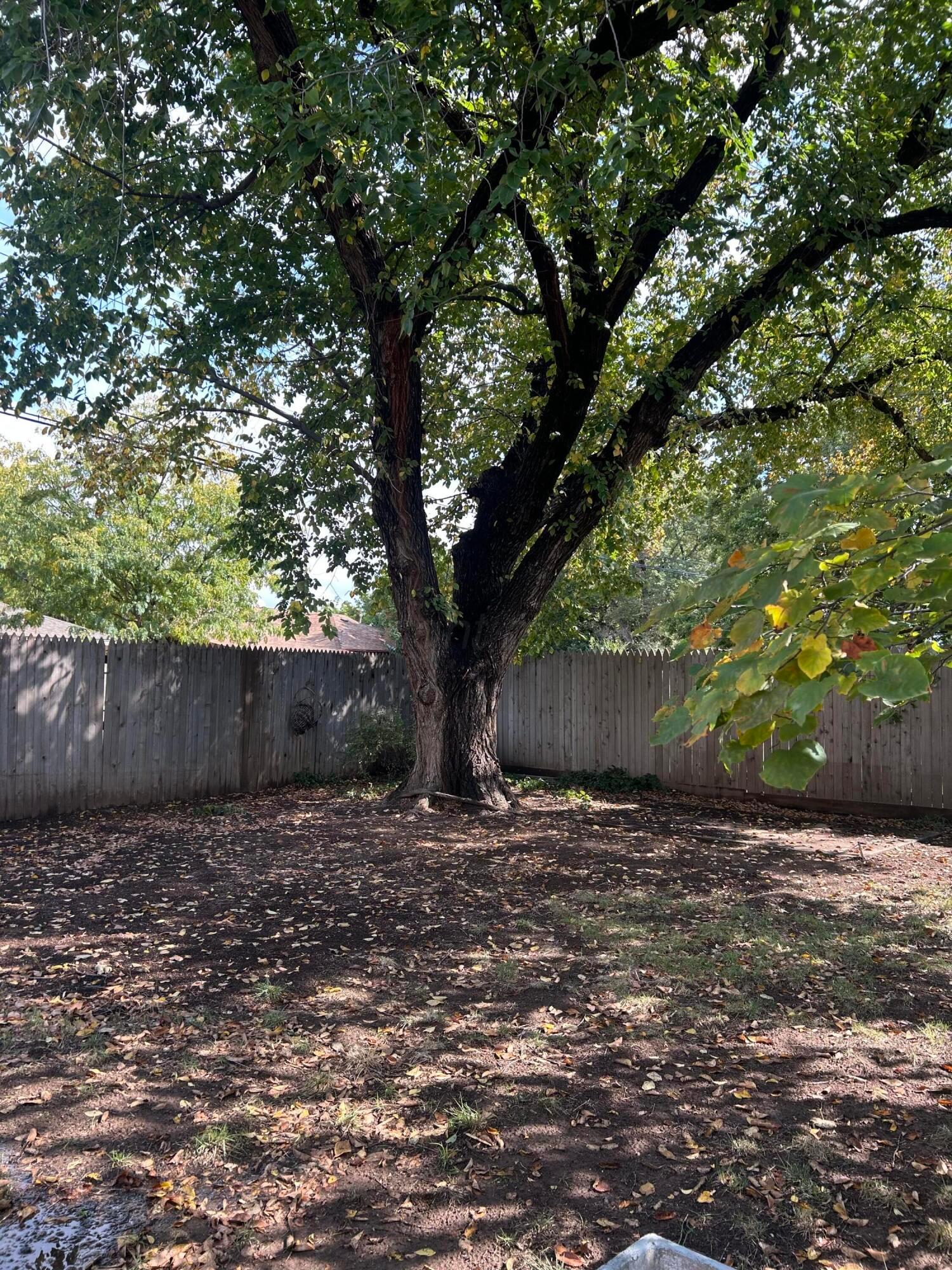 4119 Tucson Drive Amarillo, TX 79109 - Photo 20 of 22 a backyard of a house with lots of green space
