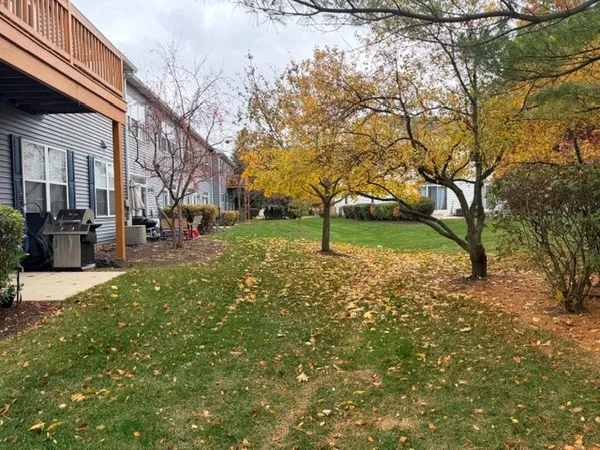 a view of a yard with a tree