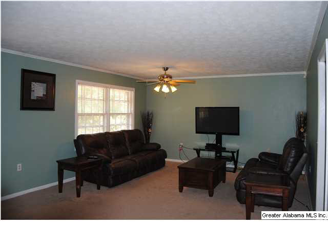 5140 Nisbet Lake Road Jacksonville, AL 36265 - Photo 3 of 26