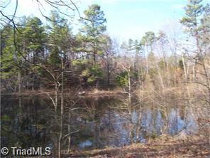 872 Bish Road Staley, NC 27355 - Photo 9 of 10 Another view of Pond