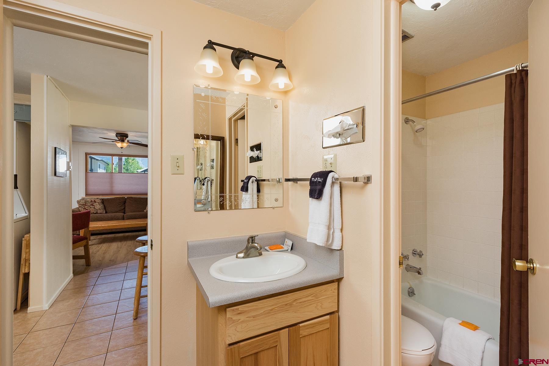400 Sheol Street, Unit 8 Durango, CO 81301 - Photo 15 of 35 a bathroom with a sink toilet and shower