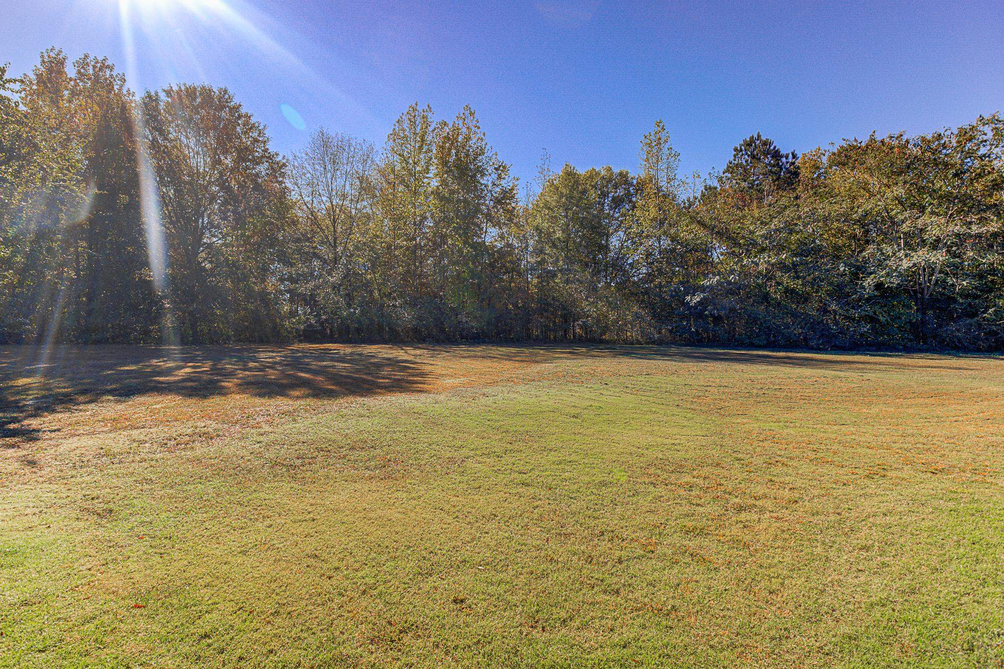 370 Wright Road Piperton, TN 38017 - Photo 30 of 31 View of yard