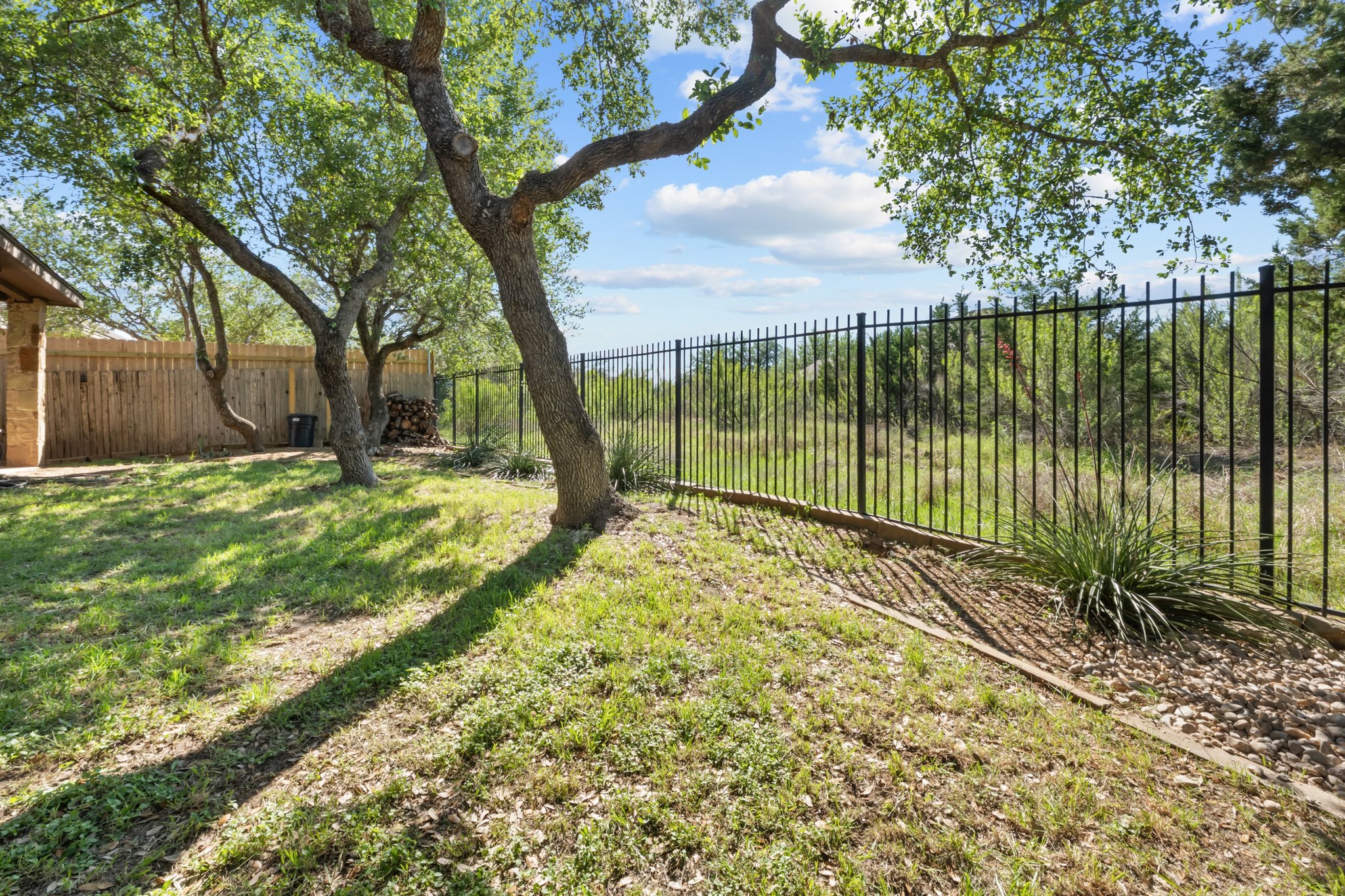 22204 Red Yucca Road Spicewood, TX 78669 - Photo 25 of 34 a view of a garden with a tree