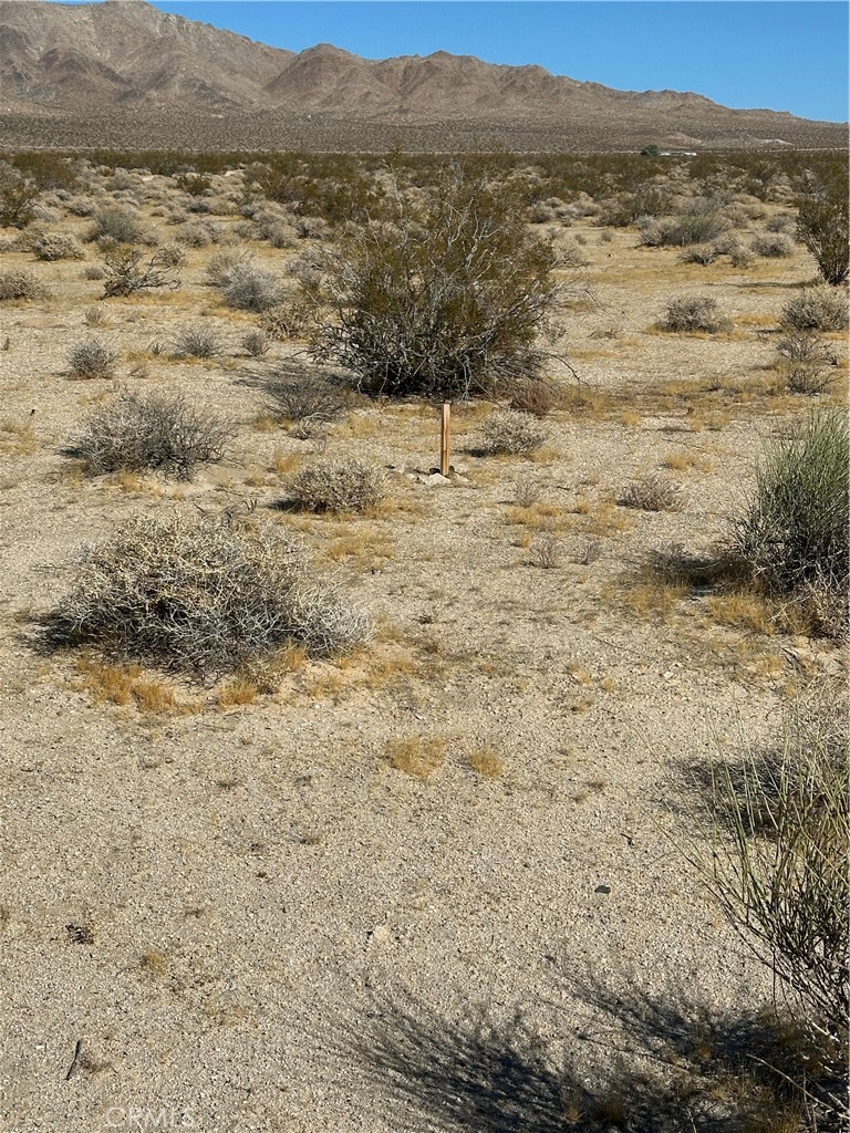 0 Fort Irwin Rd/shenk Ranch Barstow, CA 92311 - Photo 4 of 13