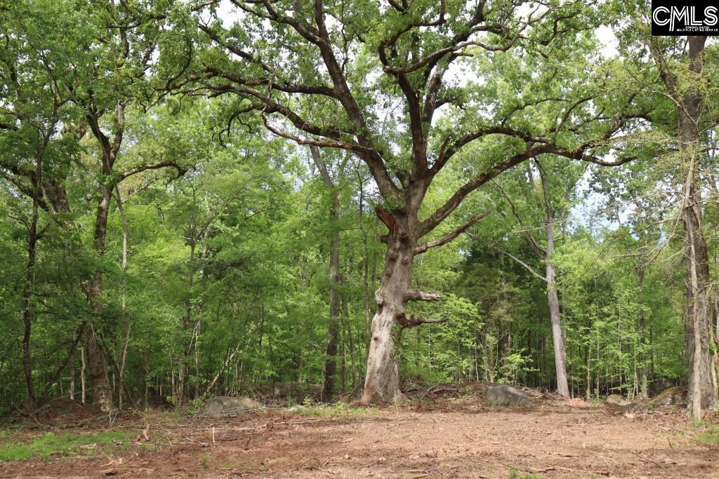 Beulah Road Leesville, SC 29070 - Photo 15 of 19
