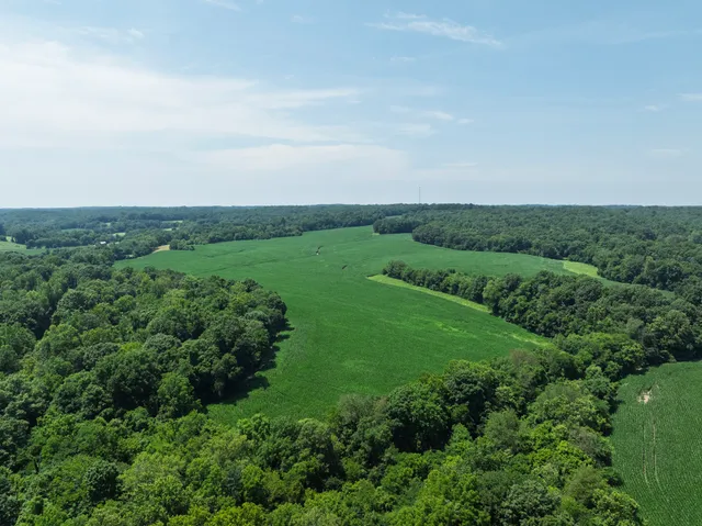 an aerial view of green field