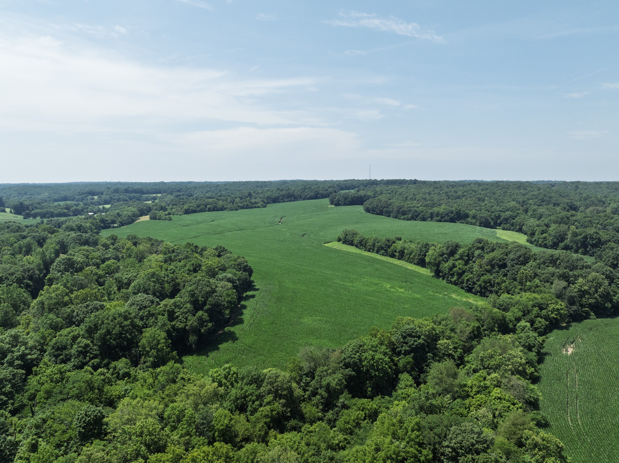 an aerial view of green field