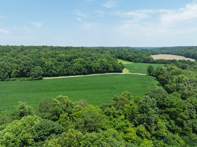 an aerial view of a golf course with trees