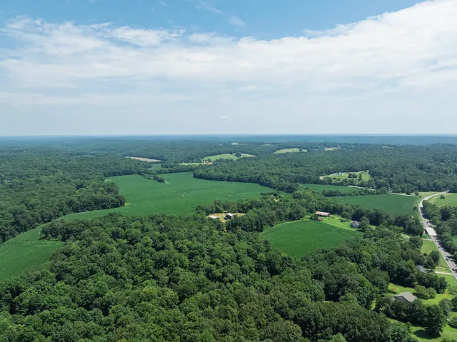 a view of field with grass and trees