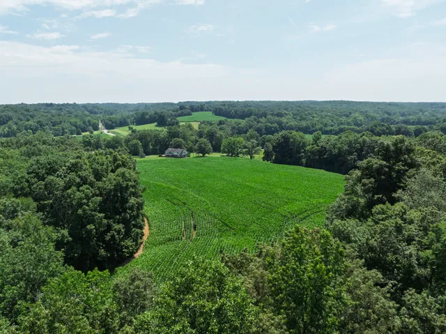 an aerial view of green landscape with trees