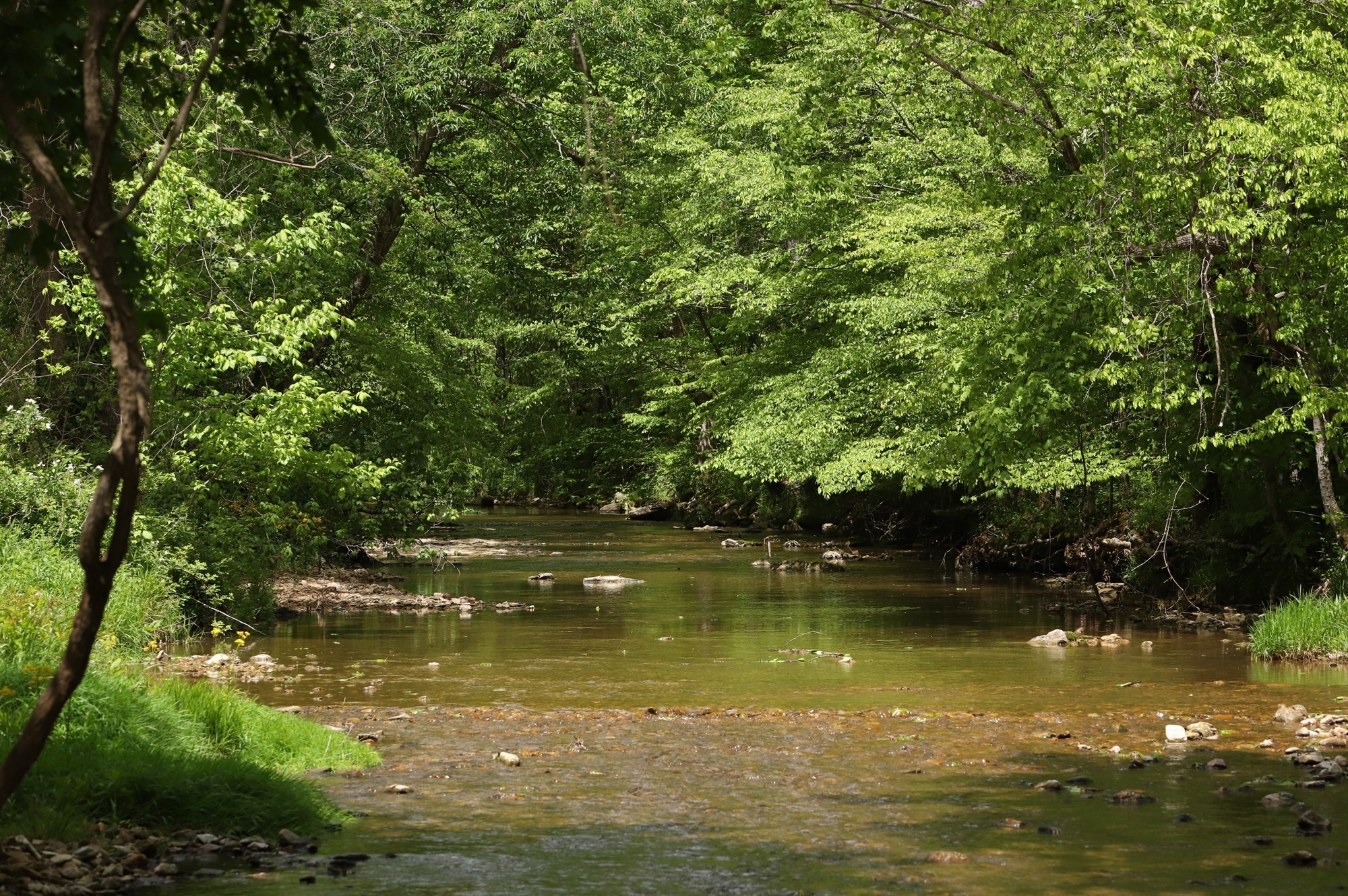 4801 State Highway 48 Cumberland Furnace, TN 37051 - Photo 2 of 46