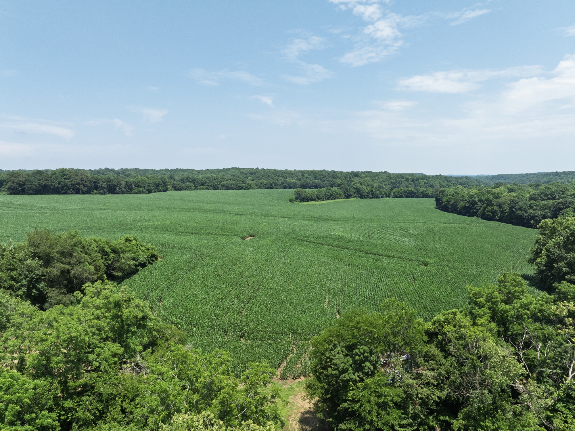 4801 State Highway 48 Cumberland Furnace, TN 37051 - Photo 22 of 46 a view of field with grass and trees