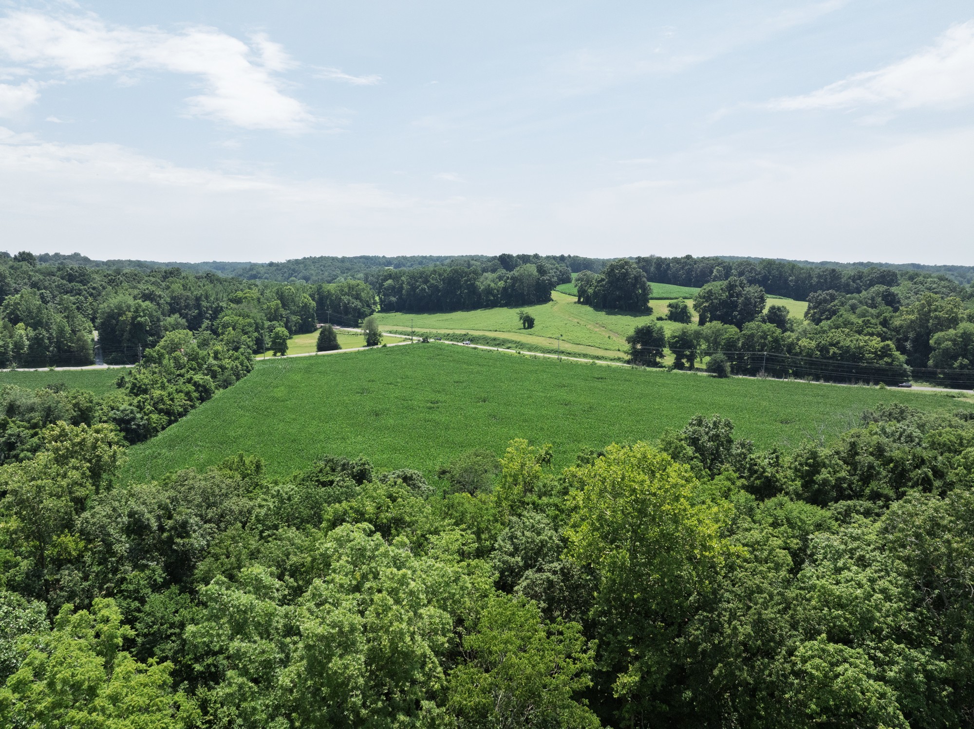 4801 State Highway 48 Cumberland Furnace, TN 37051 - Photo 25 of 46 a view of a grassy field with trees