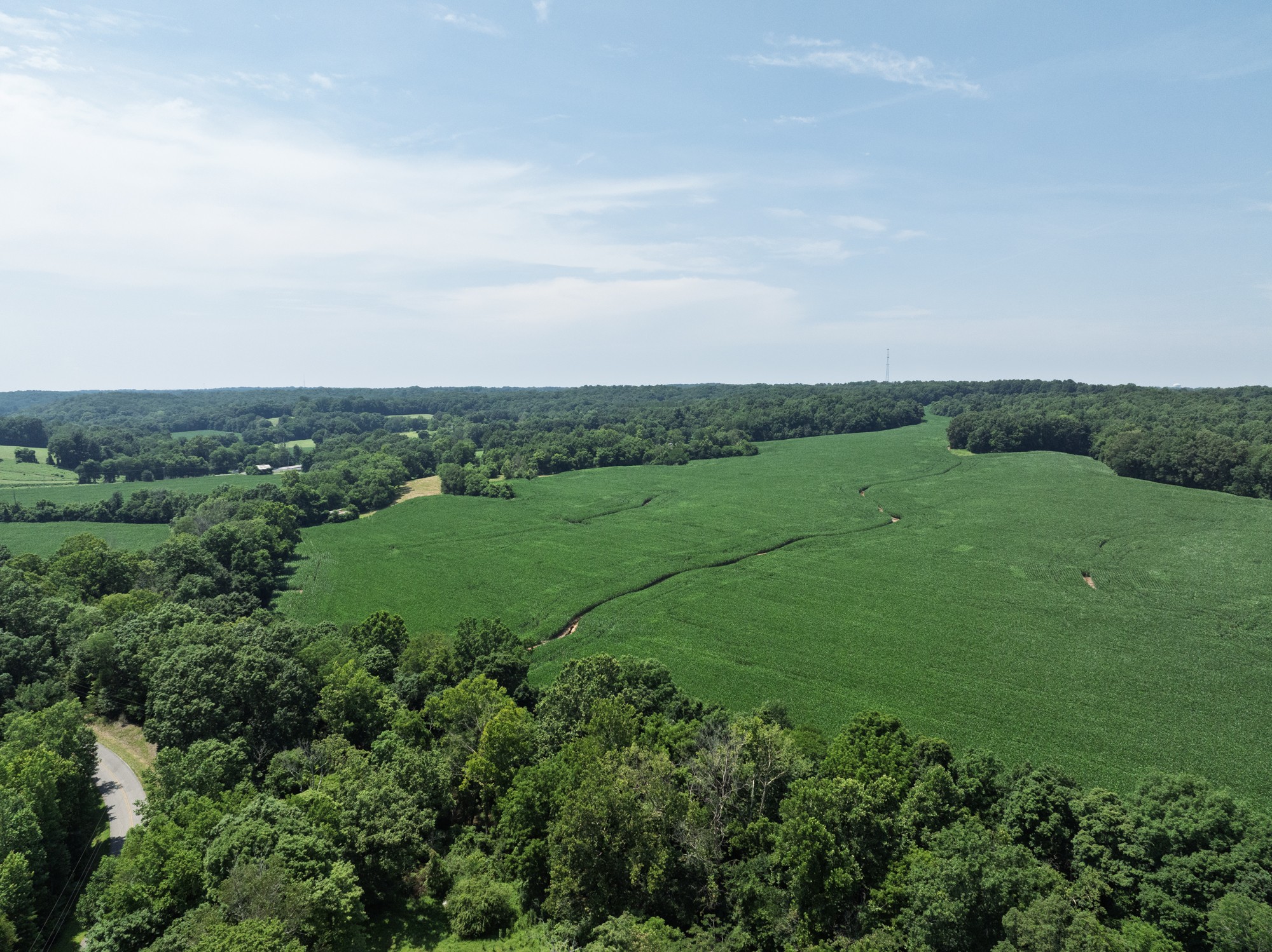 4801 State Highway 48 Cumberland Furnace, TN 37051 - Photo 27 of 46 an aerial view of field with trees
