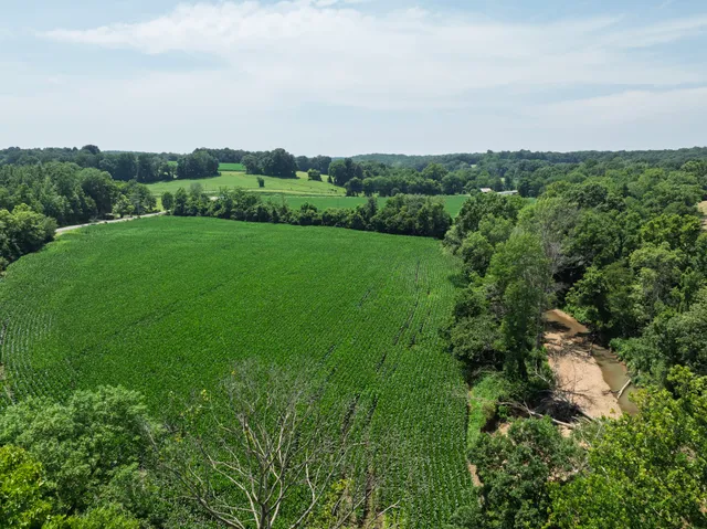 a view of a lush green space with sea