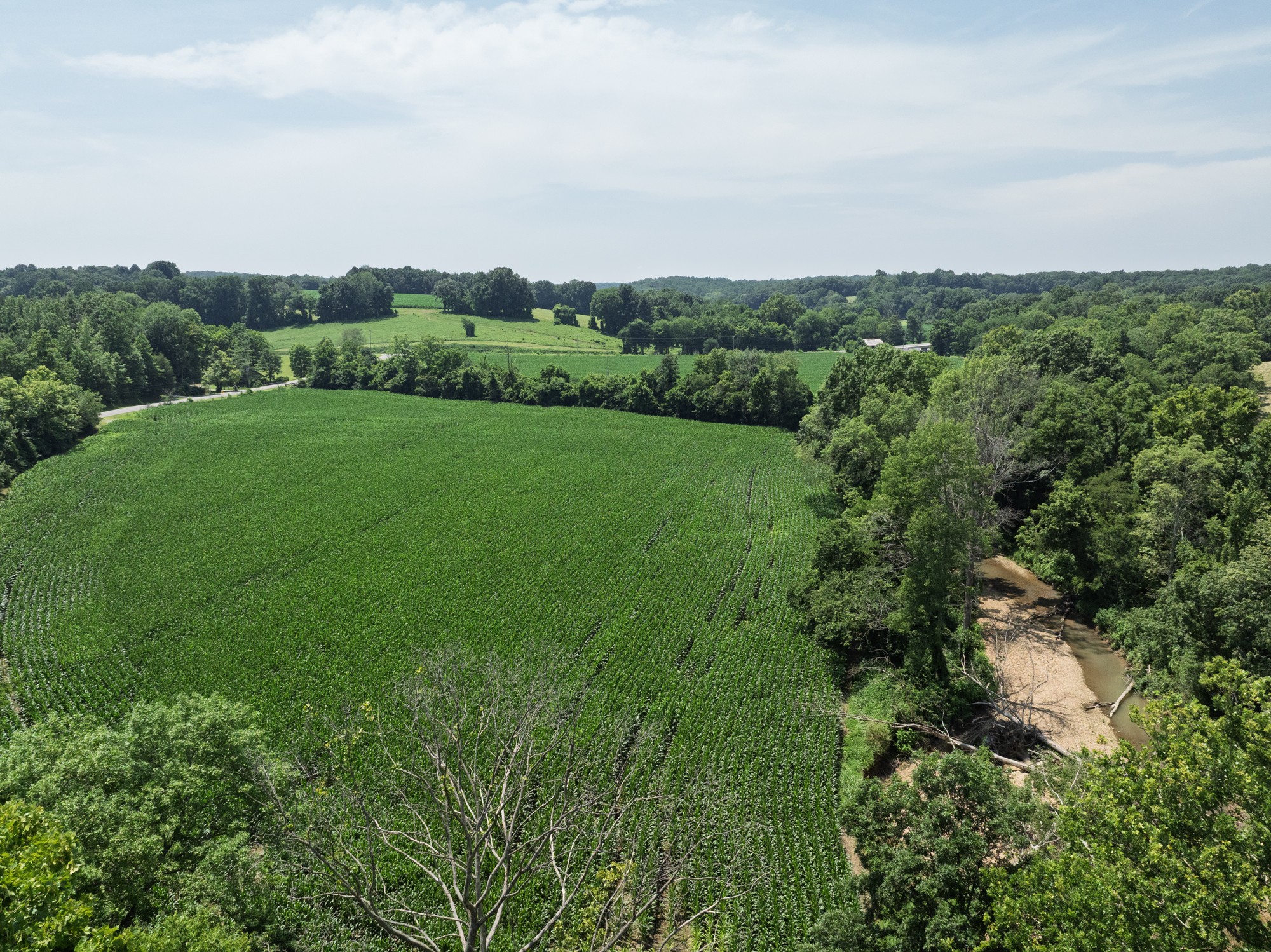 4801 State Highway 48 Cumberland Furnace, TN 37051 - Photo 3 of 46 an aerial view of green landscape with trees houses and mountain view