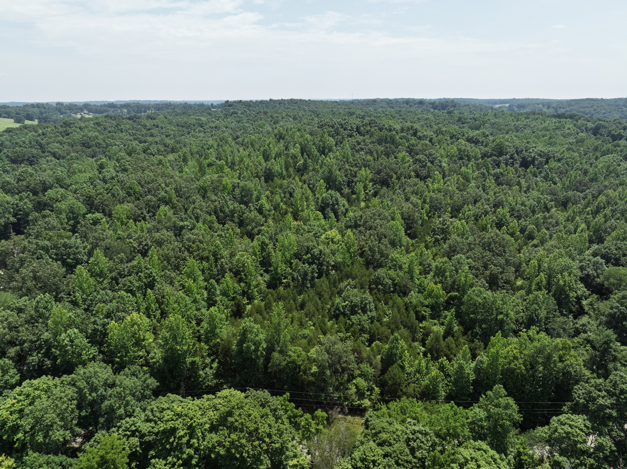 4801 State Highway 48 Cumberland Furnace, TN 37051 - Photo 38 of 46