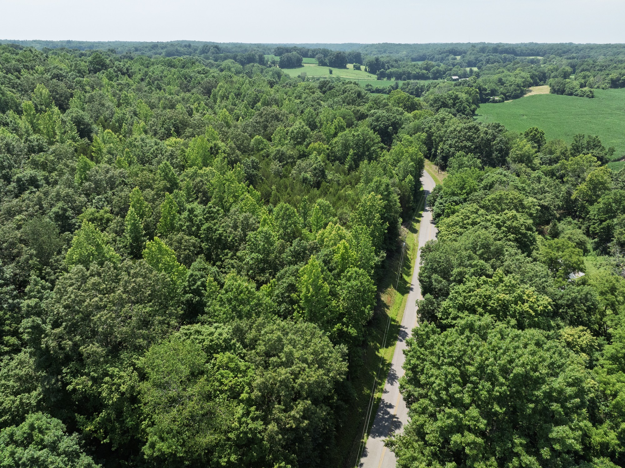 4801 State Highway 48 Cumberland Furnace, TN 37051 - Photo 42 of 46 an aerial view of residential house with outdoor space and trees all around