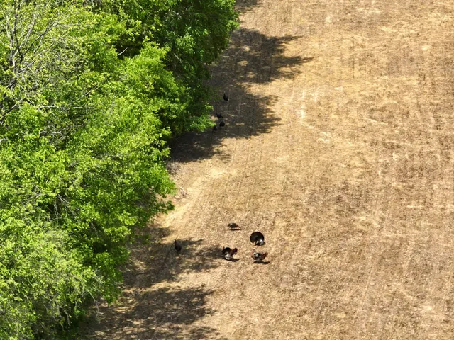 $5,500,000 | 4801 State Highway 48, Cumberland Furnace, TN 37051