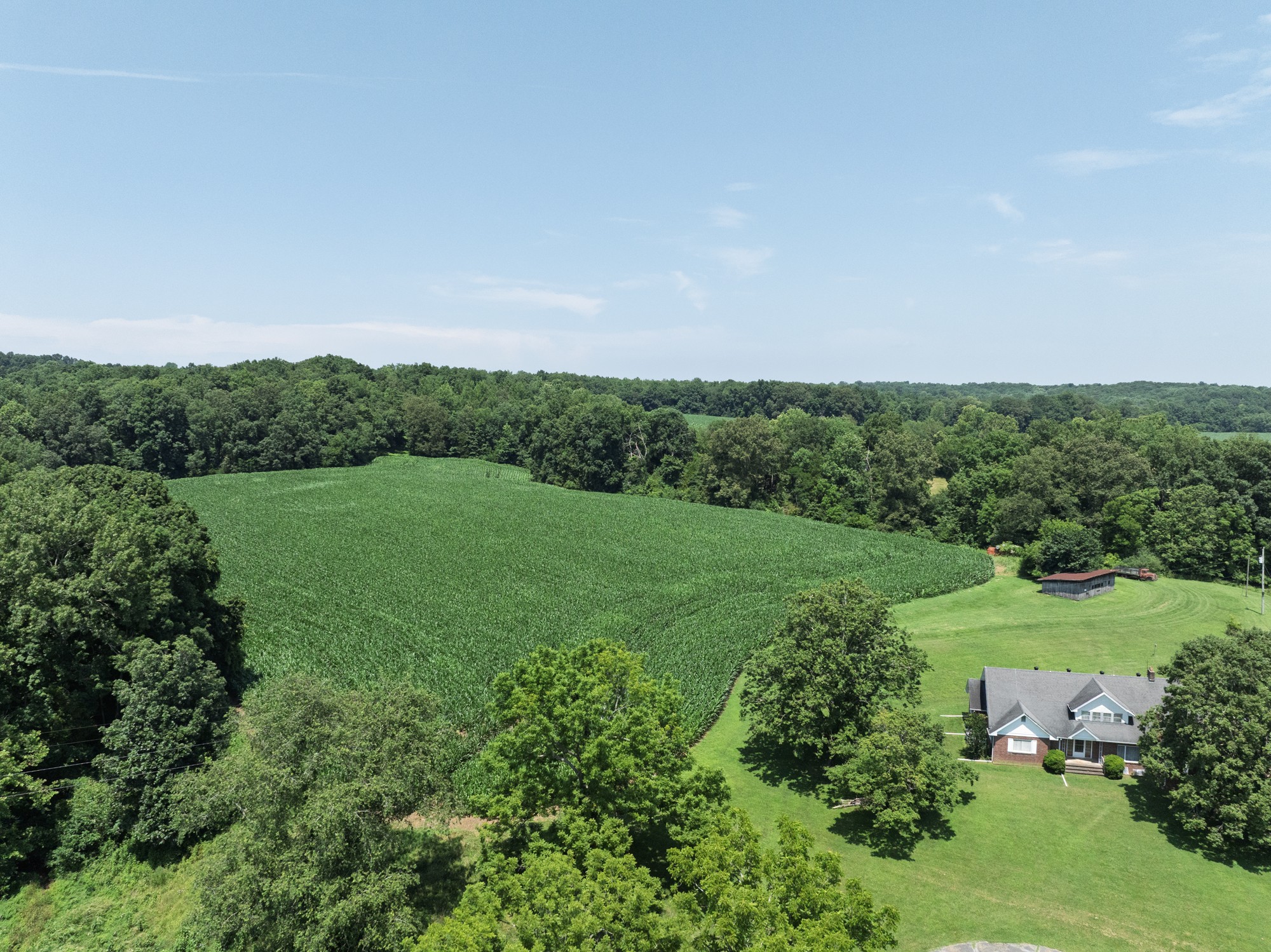 4801 State Highway 48 Cumberland Furnace, TN 37051 - Photo 44 of 46 an aerial view of green landscape with trees houses and mountain view