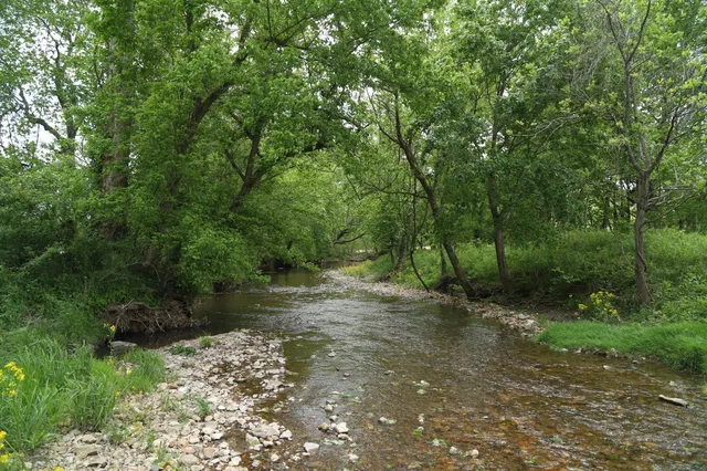 a view of outdoor space