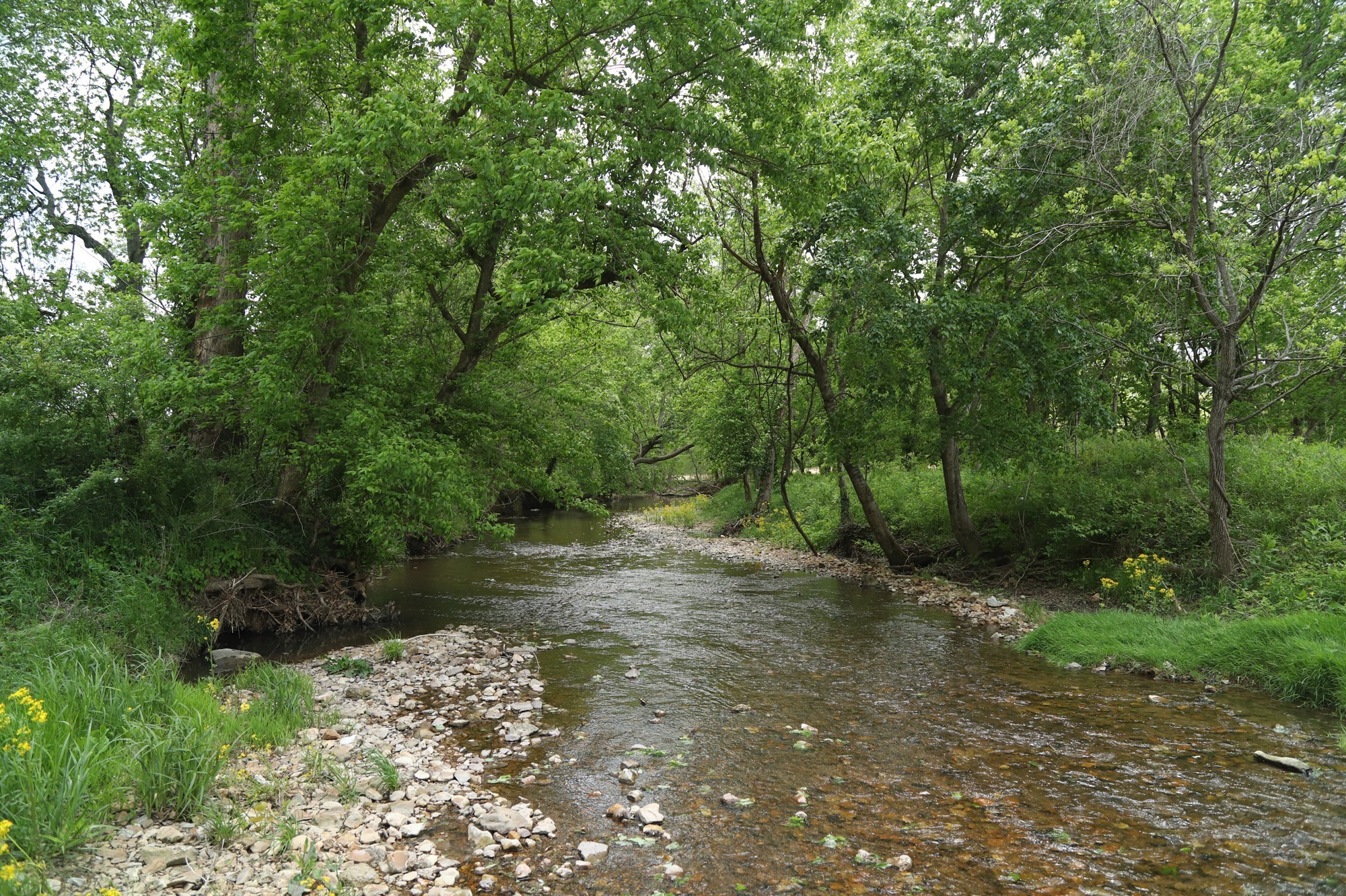 4801 State Highway 48 Cumberland Furnace, TN 37051 - Photo 6 of 46