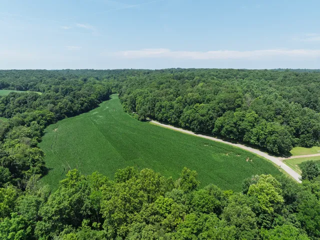 an aerial view of residential houses with outdoor space and trees