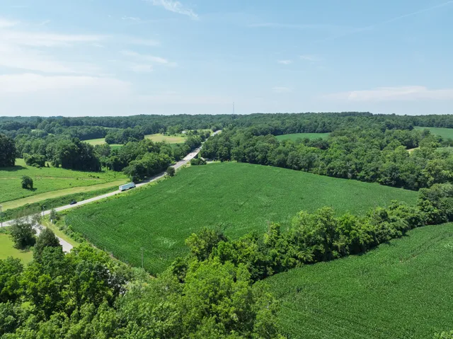 an aerial view of green landscape with trees