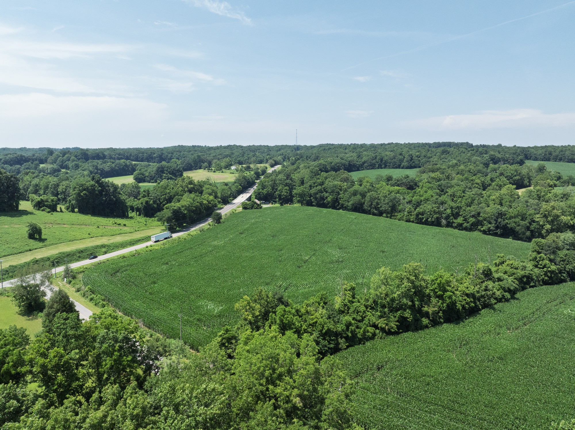 4801 State Highway 48 Cumberland Furnace, TN 37051 - Photo 8 of 46 a view of field with grass and trees