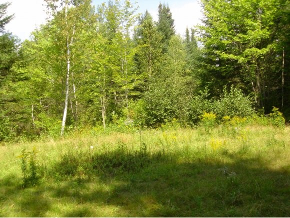 3105 North Littleton Road Littleton, NH 03561 - Photo 1 of 1