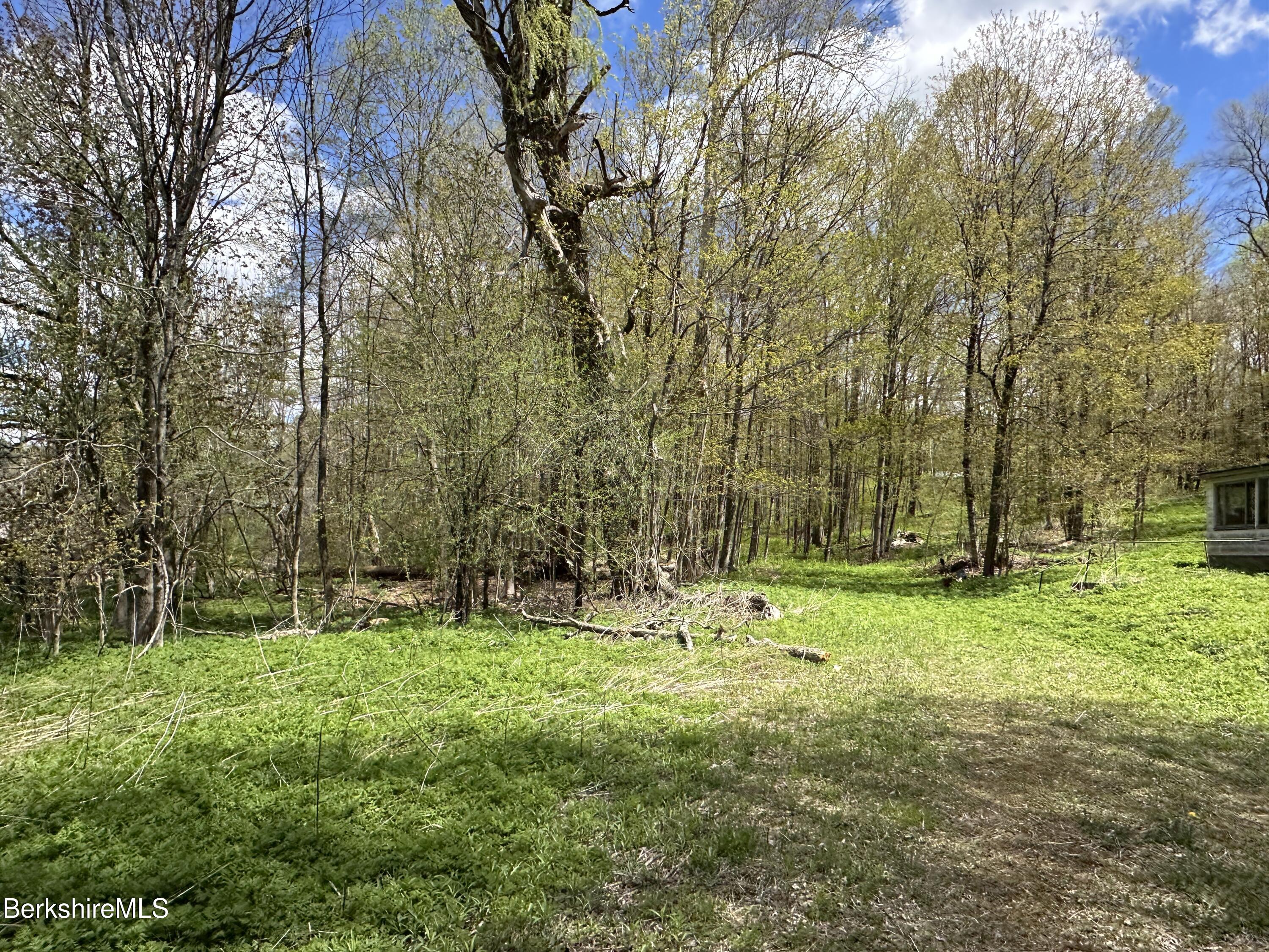 2447 State Road Richmond, MA 01254 - Photo 1 of 13 a backyard of apartments with large trees
