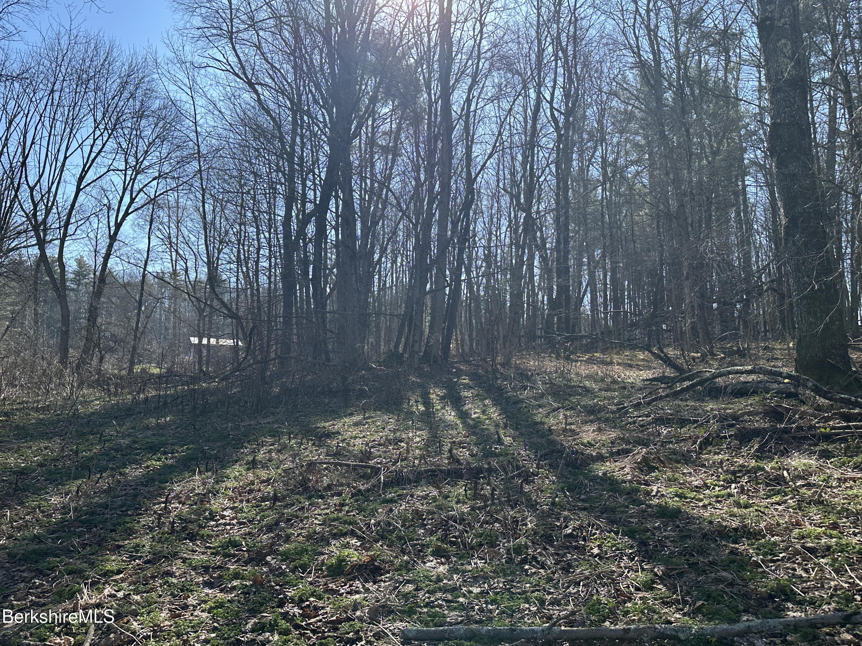 2447 State Road Richmond, MA 01254 - Photo 2 of 7 Lot