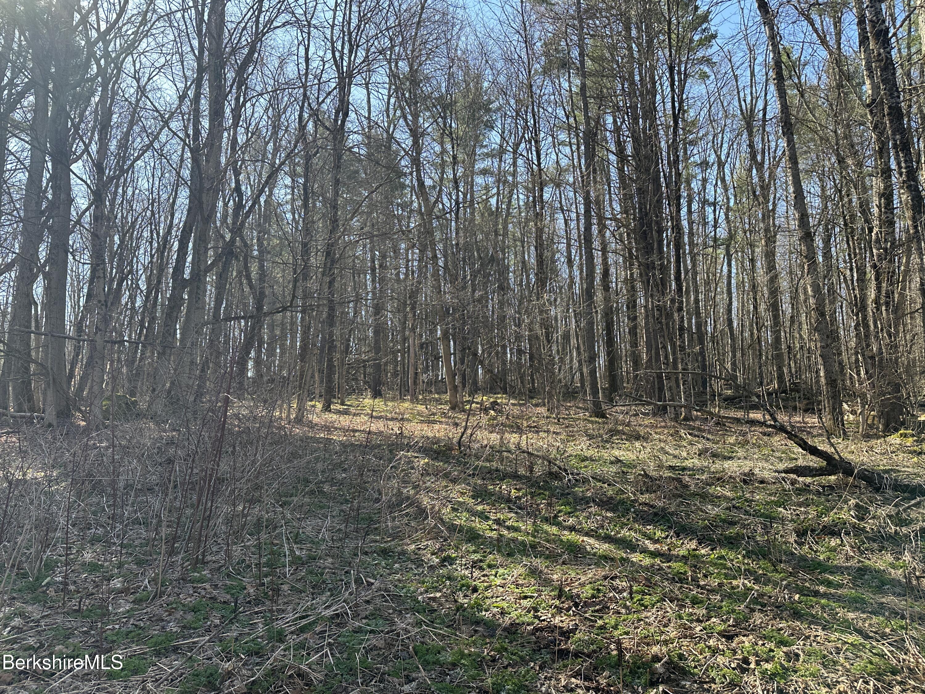 2447 State Road Richmond, MA 01254 - Photo 3 of 7 Lot