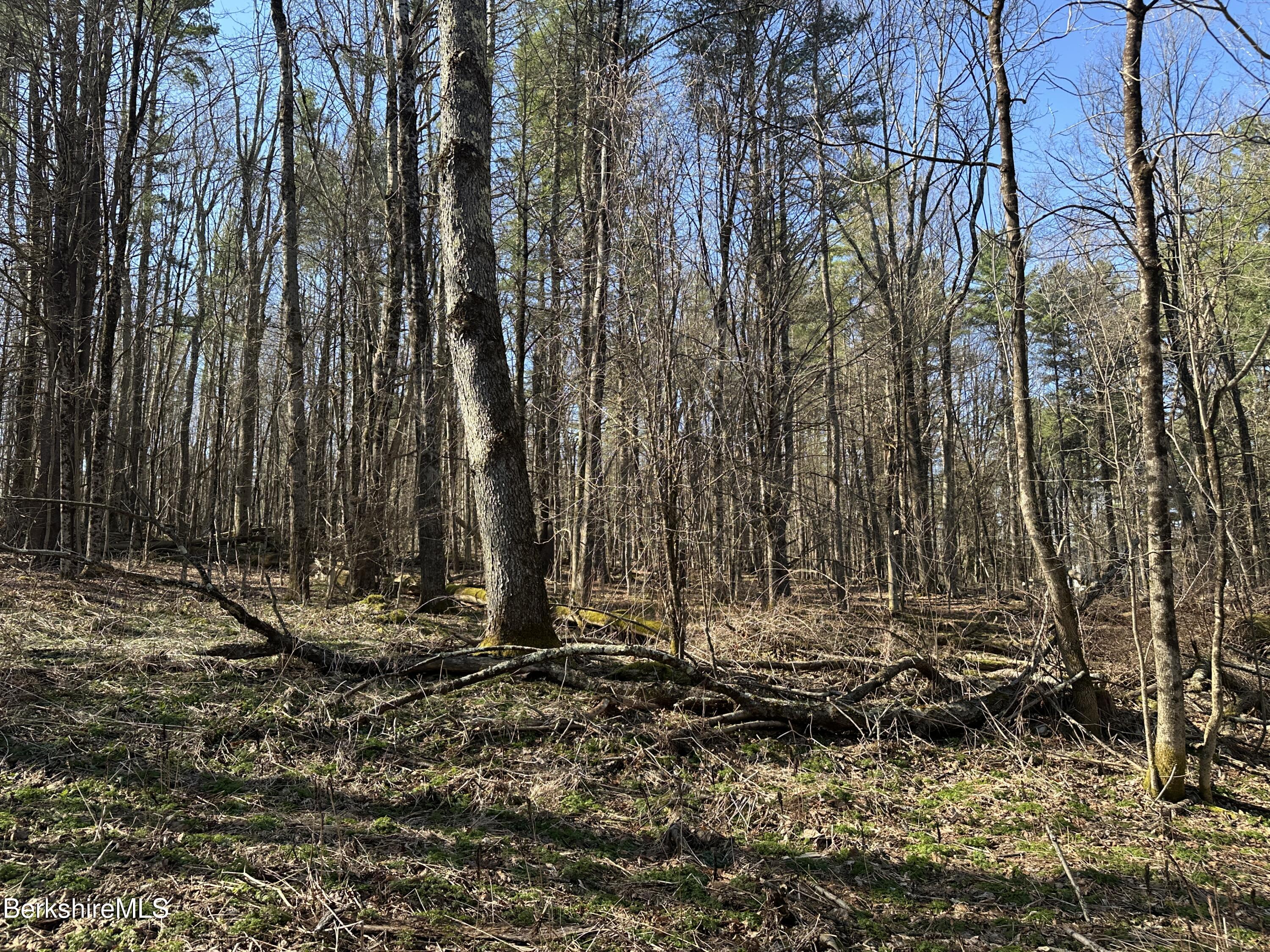 2447 State Road Richmond, MA 01254 - Photo 4 of 7 Lot