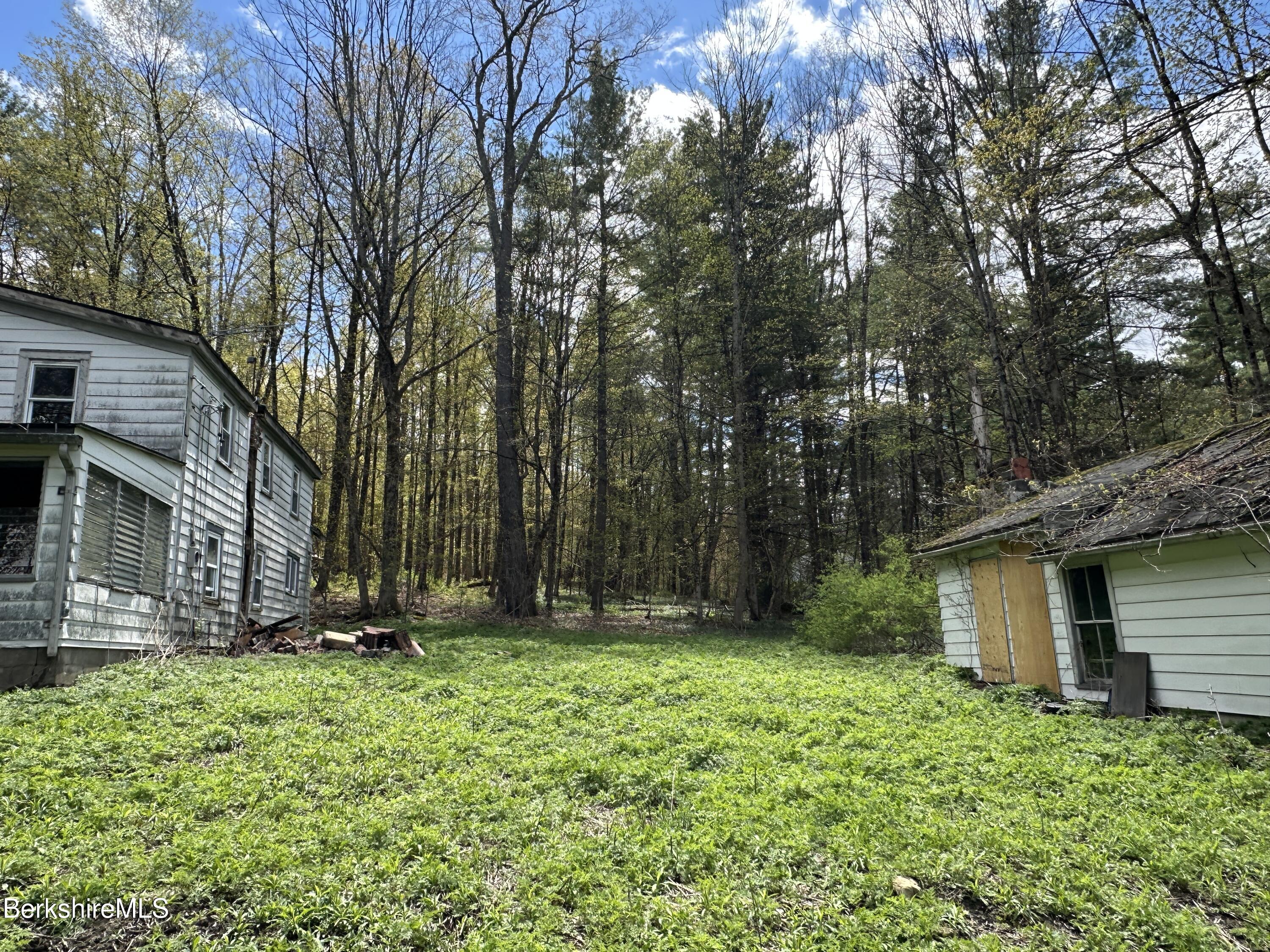 2447 State Road Richmond, MA 01254 - Photo 6 of 13 a backyard of a house with lots of green space