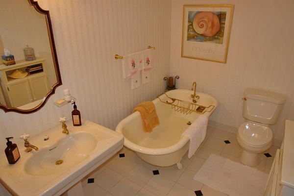215 W Road Blue Ridge, VA 24064 - Photo 22 of 47 a bathroom with a sink mirror and toilet