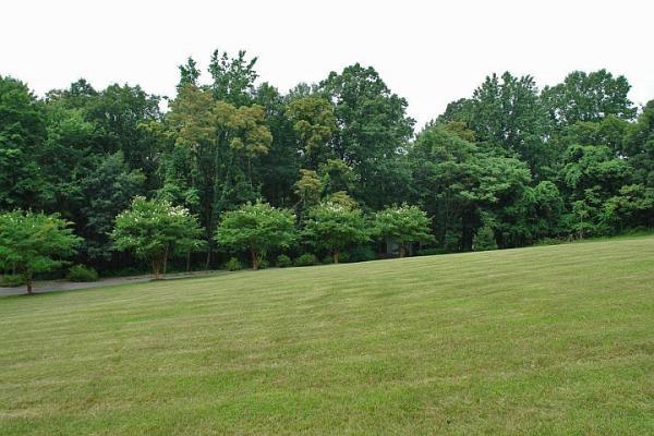 215 W Road Blue Ridge, VA 24064 - Photo 43 of 47 a view of a field with trees in the background