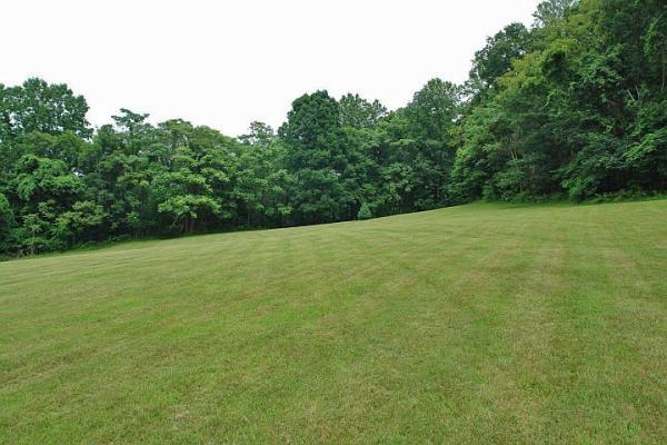 215 W Road Blue Ridge, VA 24064 - Photo 44 of 47 a view of a field with trees in the background