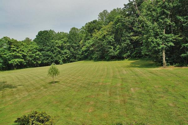215 W Road Blue Ridge, VA 24064 - Photo 45 of 47 a view of a yard with an trees