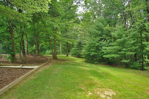 215 W Road Blue Ridge, VA 24064 - Photo 47 of 47 a view of a field of grass and trees