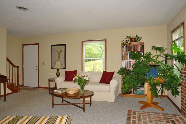 215 W Road Blue Ridge, VA 24064 - Photo 7 of 47 a living room with furniture plant and a window