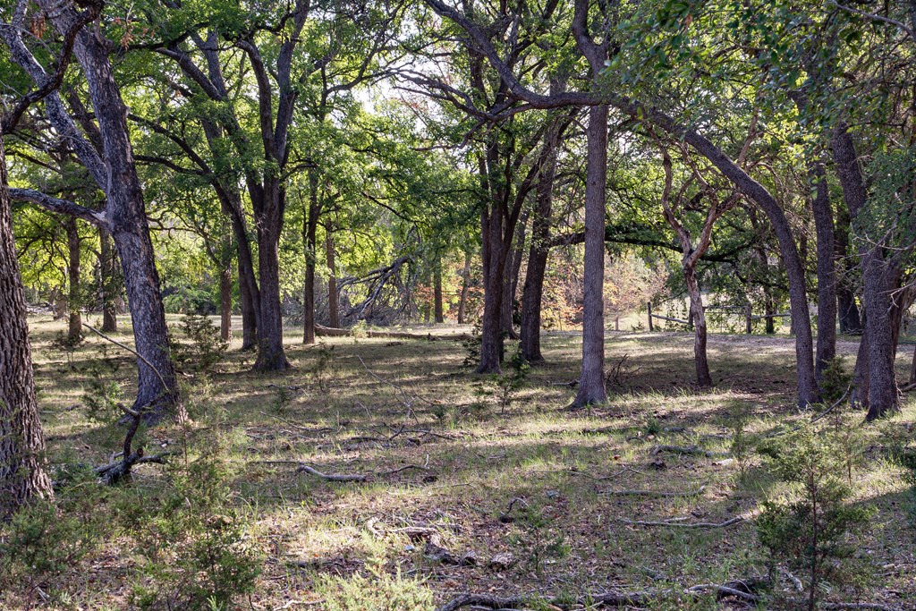 535 China Street Center Point, TX 78010 - Photo 12 of 28
