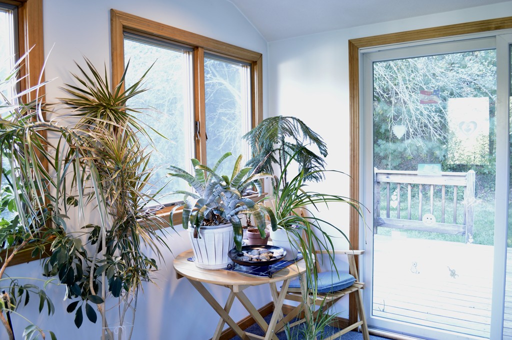 12 Saddleback Hill Road Bellingham, MA 02019 - Photo 10 of 19 Gallery Image 10