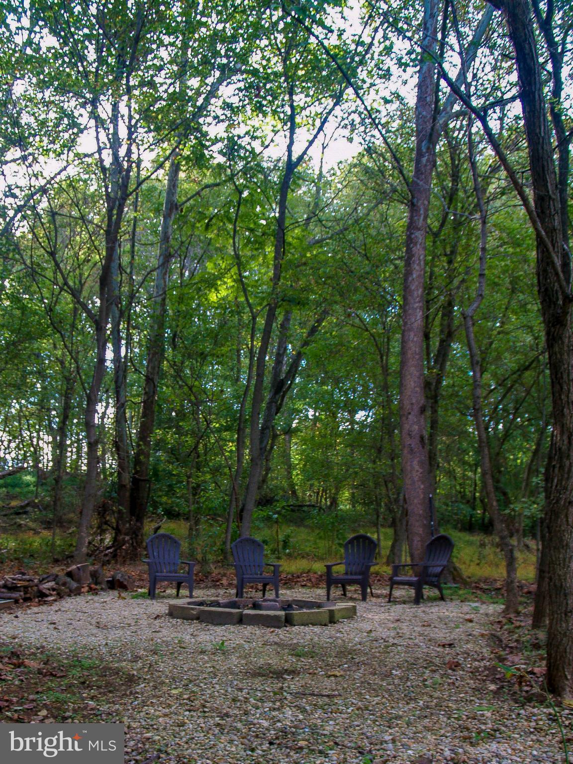 7926 Neck Road Williamsport, MD 21795 - Photo 22 of 30 Secluded Fire Pit